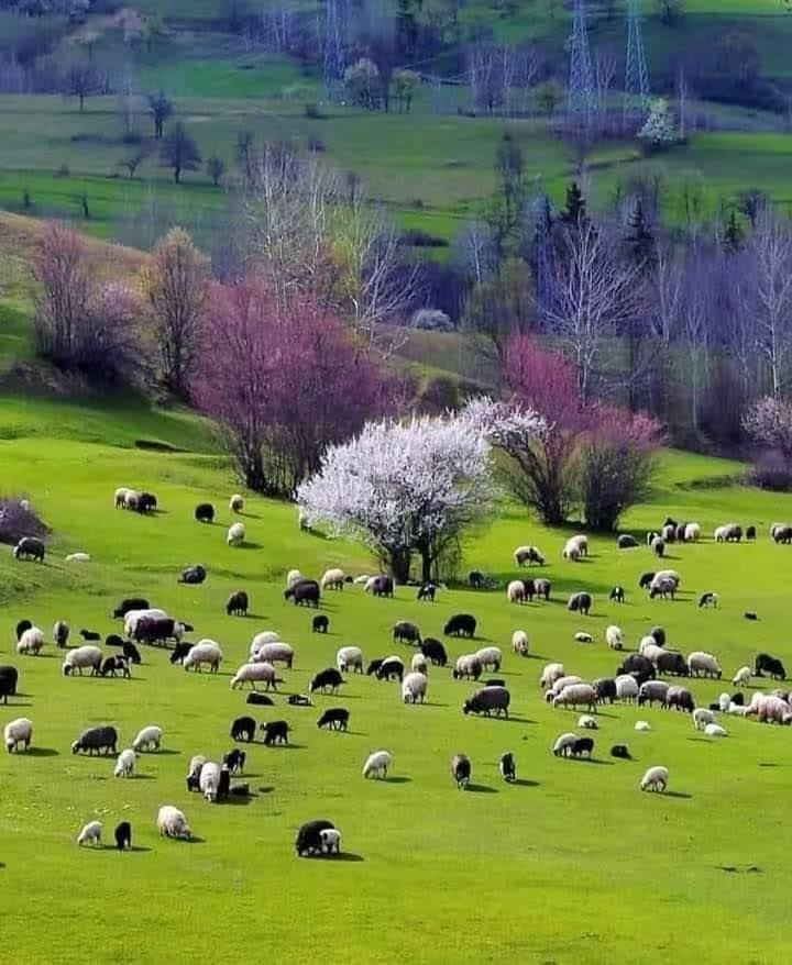 Countryside landscape inspiration reference